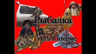 Ловля карася в омской области
