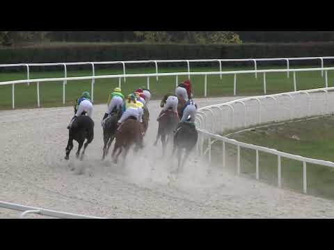 2020.11.01. 03. futam - NÉMETH FERENC EMLÉKKUPA V. FUTAMAHENDIKEP (V/b.) (szintetikus pálya)