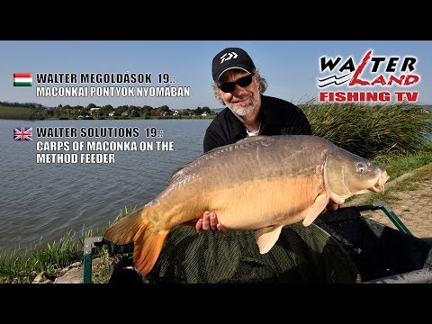EPISODE 19: Maconkai pontyok nyomában - Carps of Maconka on the Method Feeder