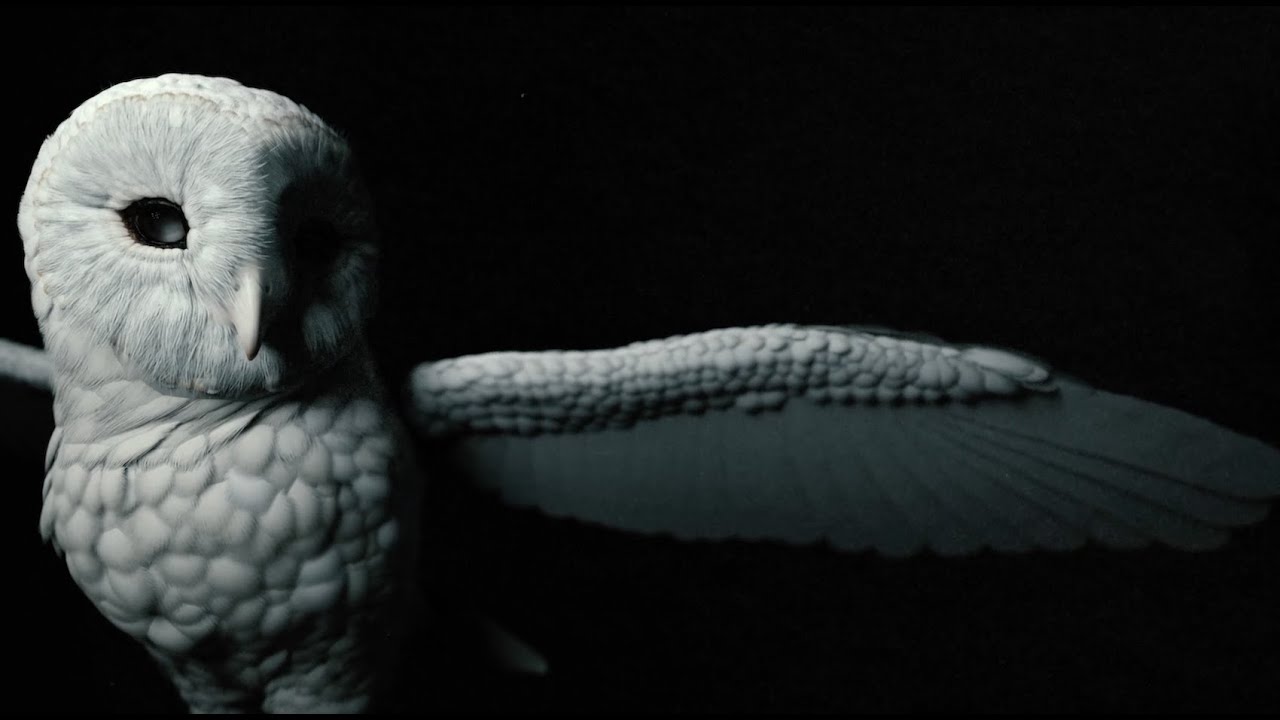 Deftones – CMND/CTRL (Official Visualizer)