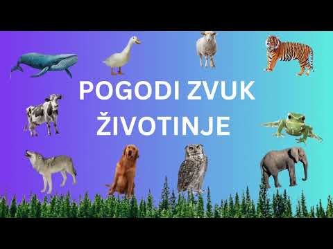 Kviz za Decu: Prepoznaj Životinju Po Zvuku