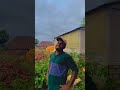 Timing La Oru Mokka