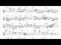 Michael Brecker solo transcription Liberated Brother