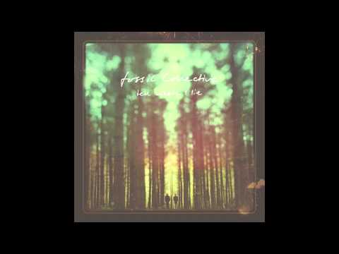 Fossil Collective - The Magpie