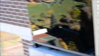 Squirrel Jumps Off Of High Rise Building