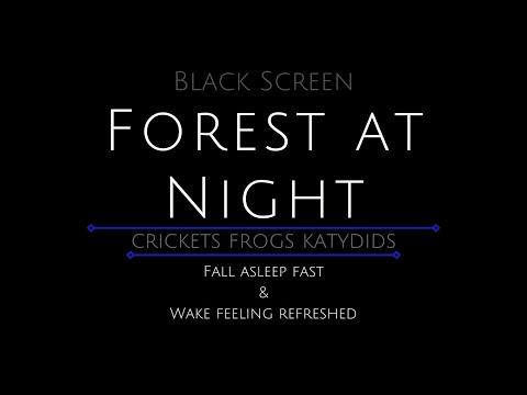 10 Hours - Forest at Night - Forest Frogs - Crickets - Katydids - Forest Sounds - Frogs in Forest