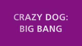 CRAZY DOG- BIG BANG