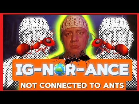 Most successful creature on the planet  Ants vs the idols of Arabia
