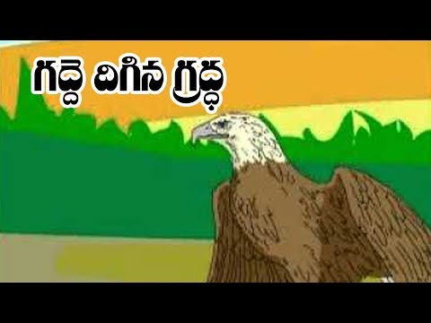 Gadde digina gradda - anaganaga - stories
