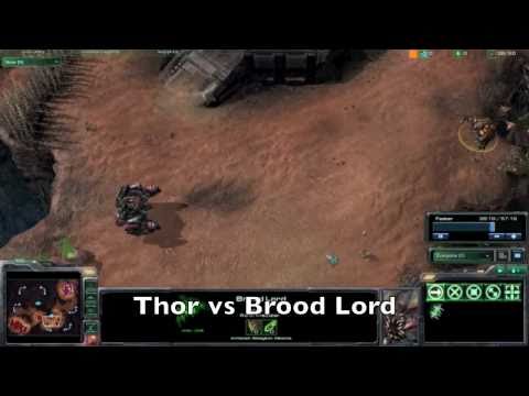 Starcraft 2 - Terran Thor vs Zerg Brood Lord - No Upgrades/Powers