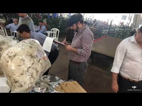 CONCURSO DE VELLONES EXPO INTER ESTEIO 2019