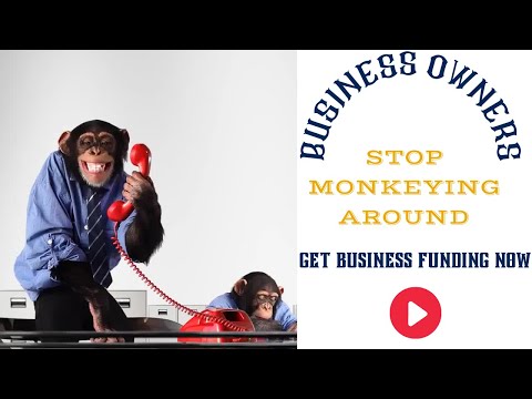 Business Owners Stop Monkeying Around