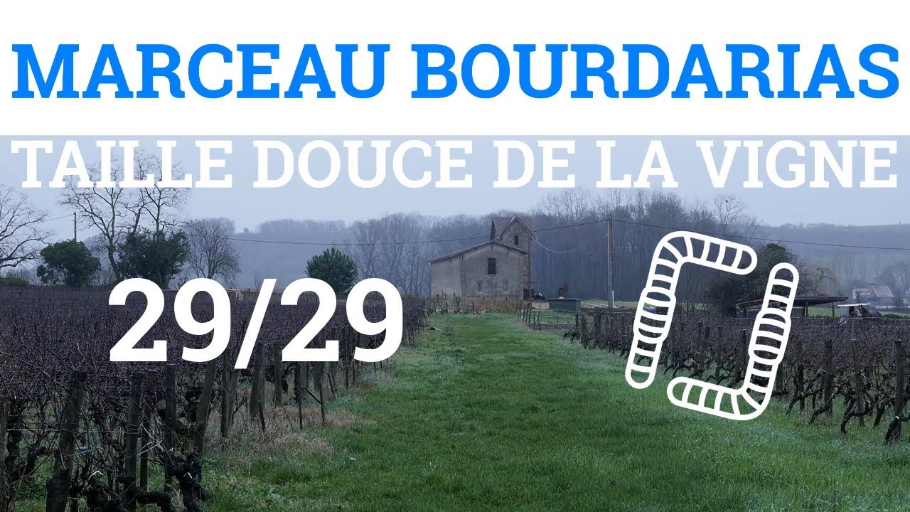 29/29 - M. BOURDARIAS - Taille Douce de la Vigne - Bilan