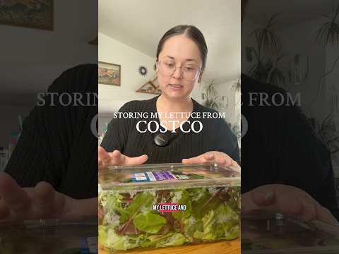Storing My Lettuce From Costco #costco