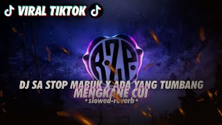 Download lagu [VIRAL TIKTOK] DJ SA STOP MABUK X ADA YANG TUMBANG [ slowed - reverb ] MENGKANE CUI mp3