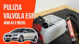 Youtube thumbnail of video "Pulizia valvola EGR"