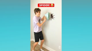 SPIDER! 😂 #shorts