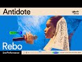 Rebo Antidote Glitch Session