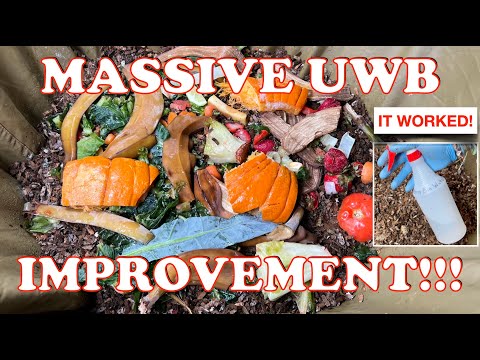 Huge Difference In Worm Bin Moisture Levels!! | Vermicompost Worm Farm