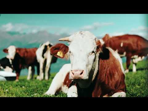 Geführte Wanderung zum Knottenkino in Vöran