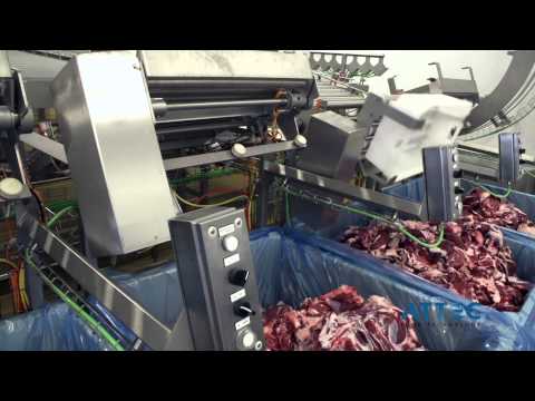 ATTEC Danmark A/S - Danish Crown Holsted