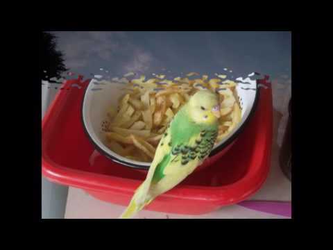 La Multi Ani , Georgeta !