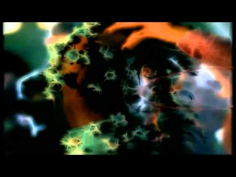 Paul Oakenfold ft. Shifty Shellshock - Starry Eyed Surprise (Official Music Video) (HD 1080p)