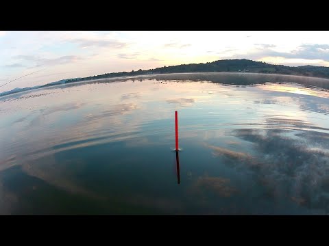 PEC NA TAKMICARSKOJ STAZI DRUGI DAN - 4K VIDEO