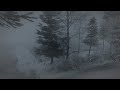 Intense Freezing Blizzard at the Lake┇Howling Wind┇Nature Sounds for Sleep, Study & Relaxation