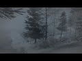 Intense Freezing Blizzard At The Lake Howling Wind Nature Sounds For Sleep Study Relaxation
