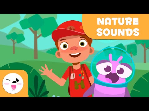 NATURE SOUNDS for Kids - Episode 3