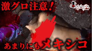 ⚠️検索してはいけない言葉⚠️メキシコの良いところを探す旅に出たい🚫悪魔の実況part132🚫