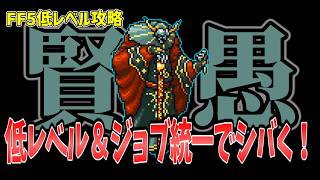 FF5 アポカリョープスを低Lv+ジョブ統一でシバいてみた FINAL FANTASY V Make it all the same of job & level1 Apanda