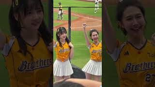 【Passion Sisters】練習生#衣宸#儀諪#Out！水啦！#台湾チアリーディングチーム#中華職棒#CPBL#樂天桃園球場#20241110（12強熱身賽）