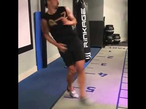 Lion iz Back Ibrahimovic