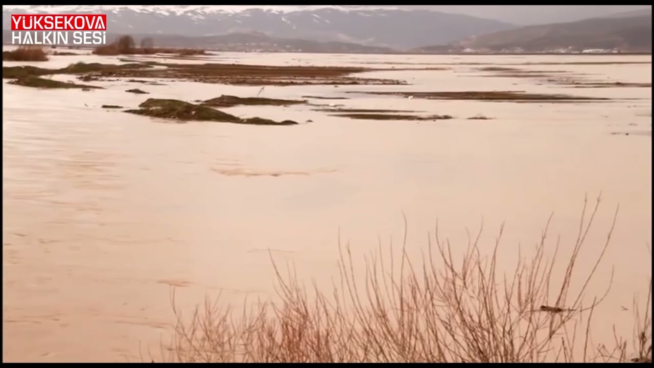 Yağışlar sonrası ilçenin ovası renk değiştirdi