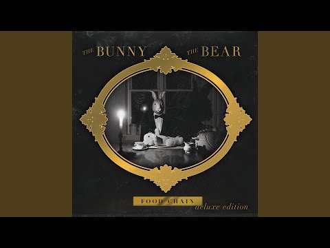 When You're Alone - The Bunny The Bear
