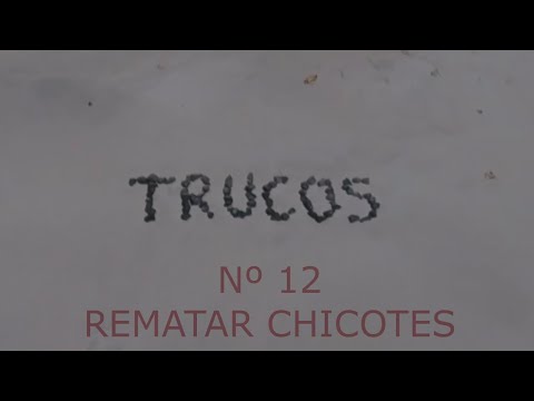 REMATAR CHICOTES