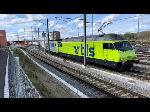 Bahnhof Muttenz (14.04.2023)