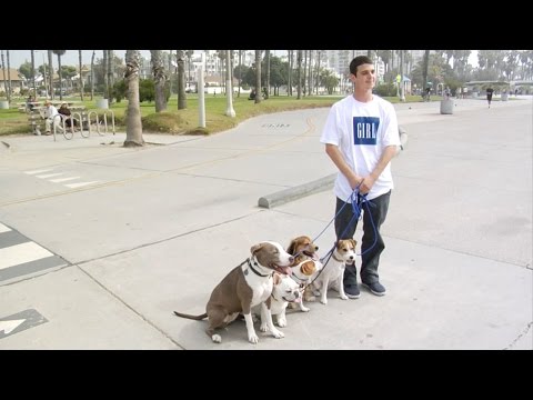 Reproducir vídeo