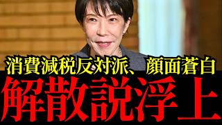 【自民党が真っ二つ】高市早苗総理の消費税減税に河野太郎・稲田朋美・小渕優子らが反対→今秋“減税解散”で非公認＆刺客擁立の可能性【考察・解説・世論】