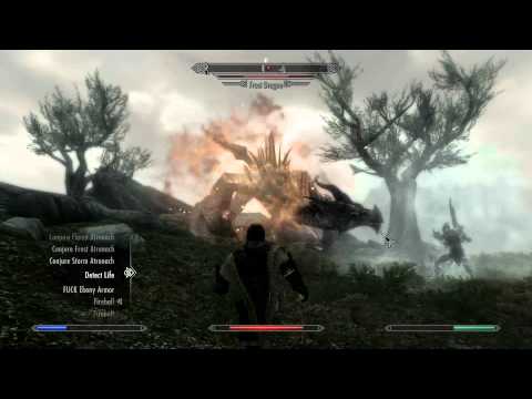 Skyrim Fight 2 Dragons NO CHEAT