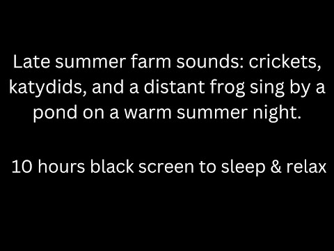 Late summer night sounds: crickets & katydids with a distant frog sing black screen to sleep & relax