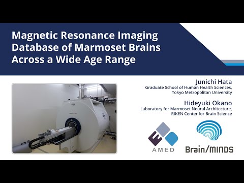 Magnetic Resonance Imaging Database of Marmoset Brains Across a Wide Age Range