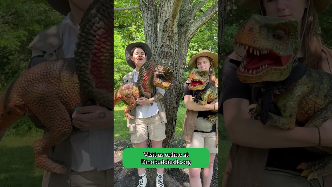 Promotional video thumbnail 2 for Dino Buddies