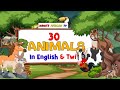 30 ANIMALS (Mmoa) IN ENGLISH & TWI | Learn Twi For Kids