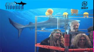 DIA 2 Expo Tiburon308