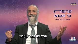 איך להגיע לאהבה אמיתיתהרב מיכאל לסרי מסר פרשת כי תבוא #foryou #פרשתהשבוע #הרבלסרי (הרב מיכאל לסרי) - התמונה מוצגת ישירות מתוך אתר האינטרנט יוטיוב. זכויות היוצרים בתמונה שייכות ליוצרה. קישור קרדיט למקור התוכן נמצא בתוך דף הסרטון איך להגיע לאהבה אמיתיתהרב מיכאל לסרי מסר פרשת כי תבוא #foryou #פרשתהשבוע #הרבלסרי (הרב מיכאל לסרי) - התמונה מוצגת ישירות מתוך אתר האינטרנט יוטיוב. זכויות היוצרים בתמונה שייכות ליוצרה. קישור קרדיט למקור התוכן נמצא בתוך דף הסרטון