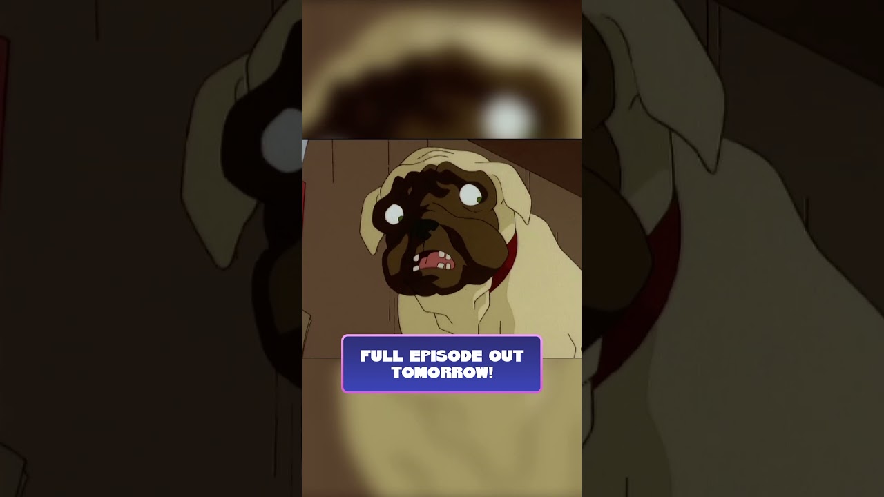 Introducing...Bug! | #shorts