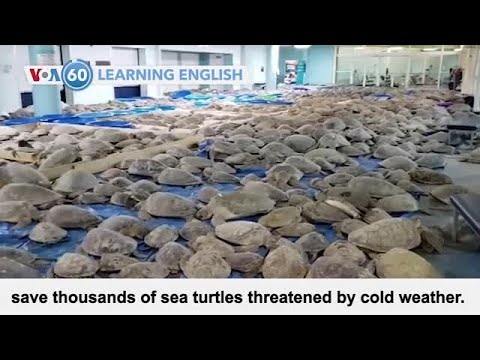 VOA602021年2月18日 (VOA60: February 18, 2021)